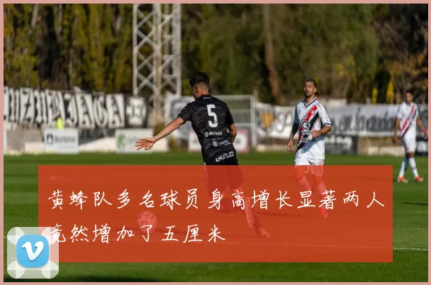 黄蜂队多名球员身高增长显著两人竟然增加了五厘米