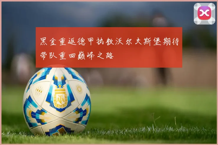 黑金重返德甲执教沃尔夫斯堡期待带队重回巅峰之路