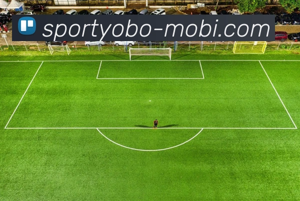 yobo体育服务体系